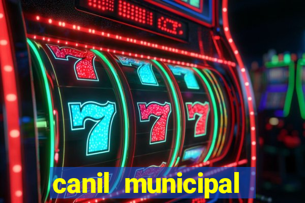 canil municipal porto alegre